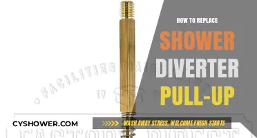 Easy DIY Guide: Replacing Your Shower Diverter Pull-Up Valve
