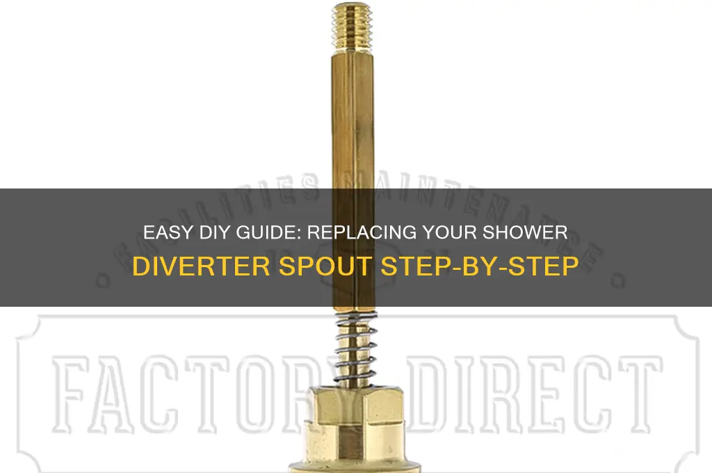 how to replace shower diverter spout
