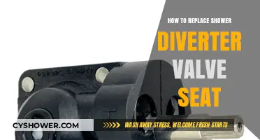Easy DIY Guide: Replacing Your Shower Diverter Valve Seat
