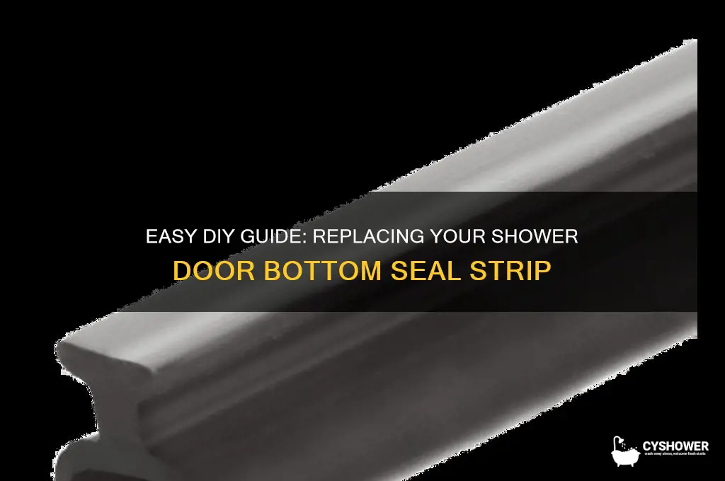 how to replace shower door bottom seal strip