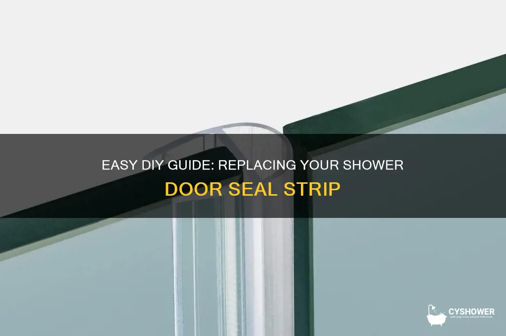 how to replace shower door seal strip
