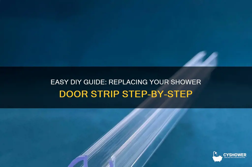 how to replace shower door strip