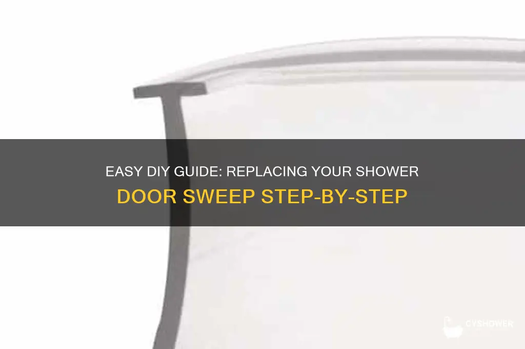 how to replace shower door sweep