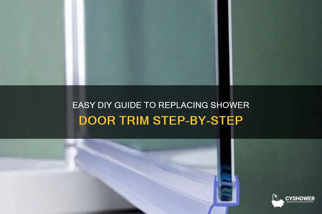 how to replace shower door trim