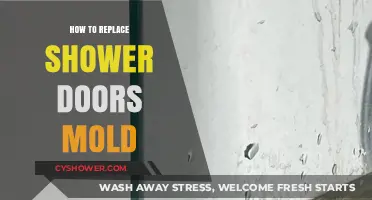 Effective Steps to Replace Moldy Shower Doors and Prevent Regrowth