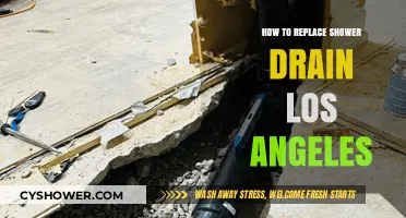 DIY Shower Drain Replacement Guide for Los Angeles Homeowners