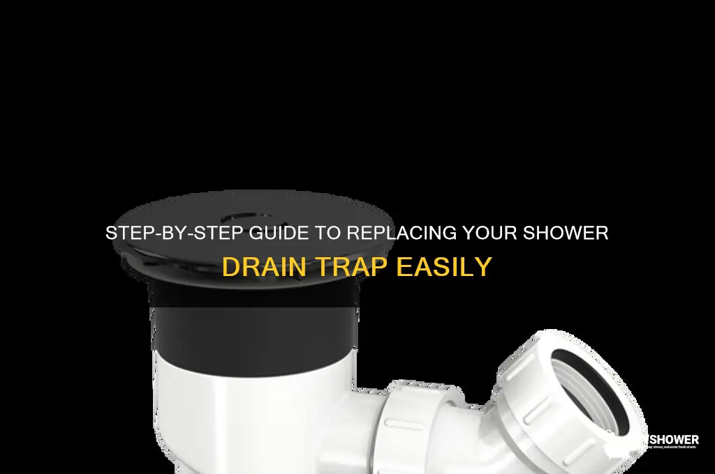how to replace shower drain trap
