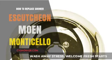 DIY Guide: Replacing Moen Monticello Shower Escutcheon Easily