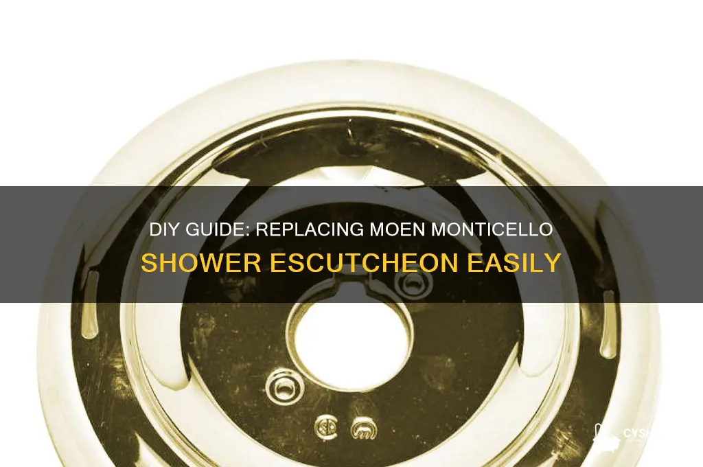how to replace shower escutcheon moen monticello