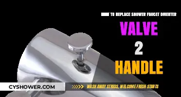 Easy DIY Guide: Replacing a 2-Handle Shower Faucet Diverter Valve