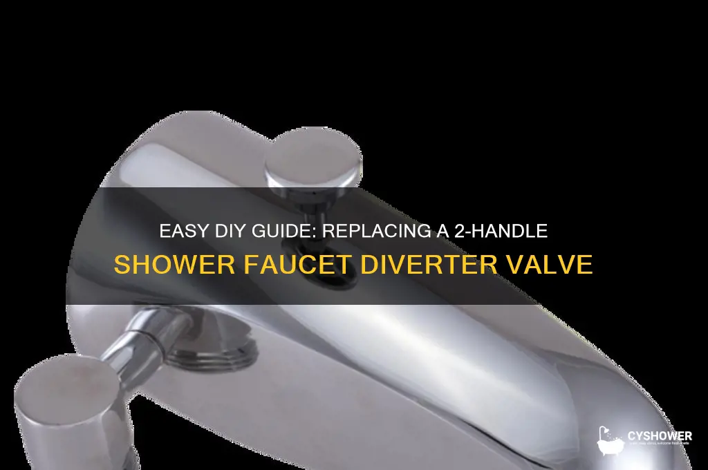 how to replace shower faucet diverter valve 2 handle