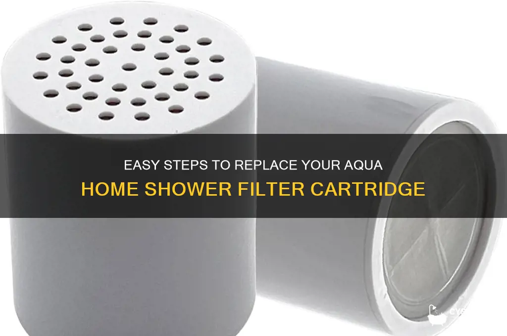 how to replace shower filter cartridge aqua home