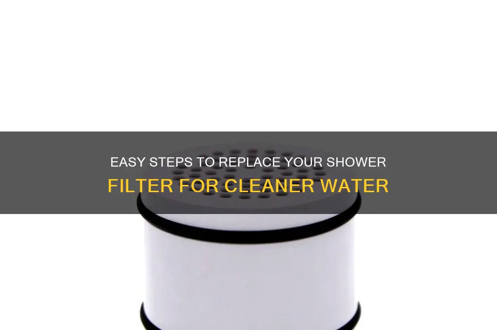 how to replace shower filter
