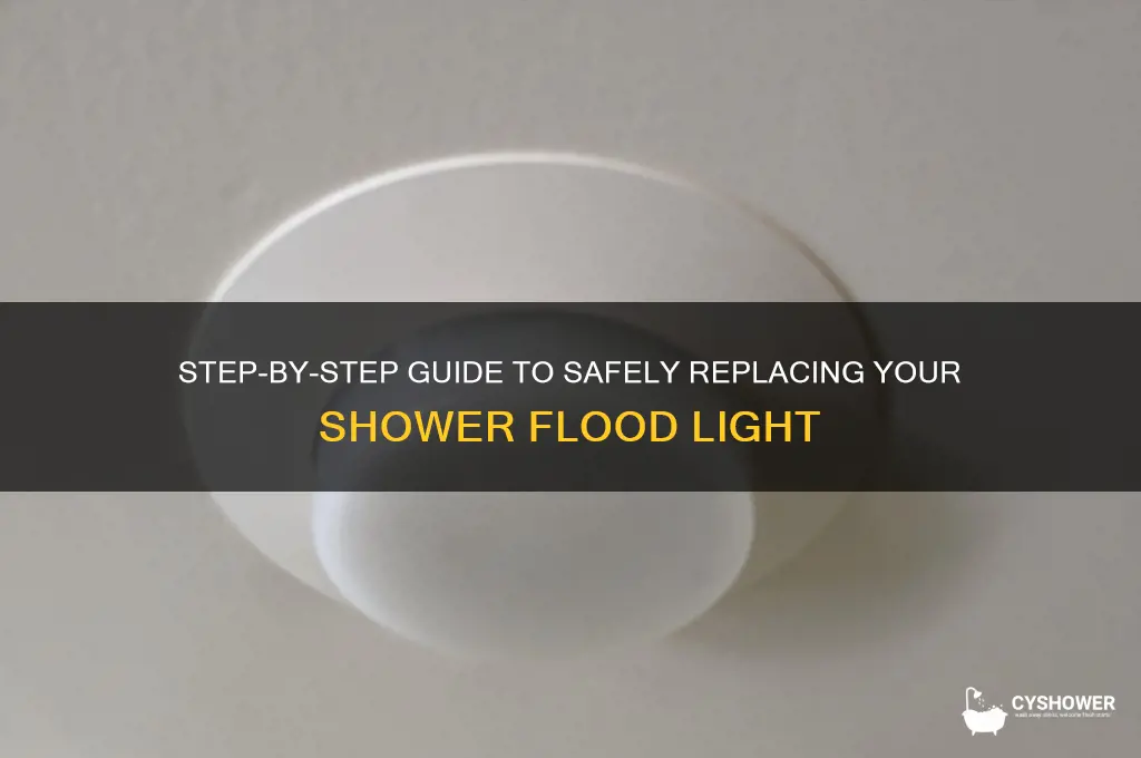 how to replace shower flood light