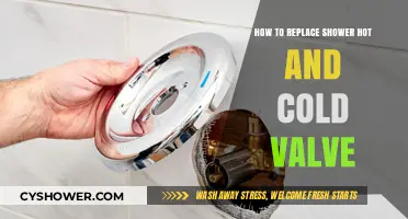 DIY Guide: Replacing Your Shower's Hot and Cold Valve Easily