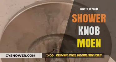 Easy DIY Guide: Replacing Your Moen Shower Knob Step-by-Step