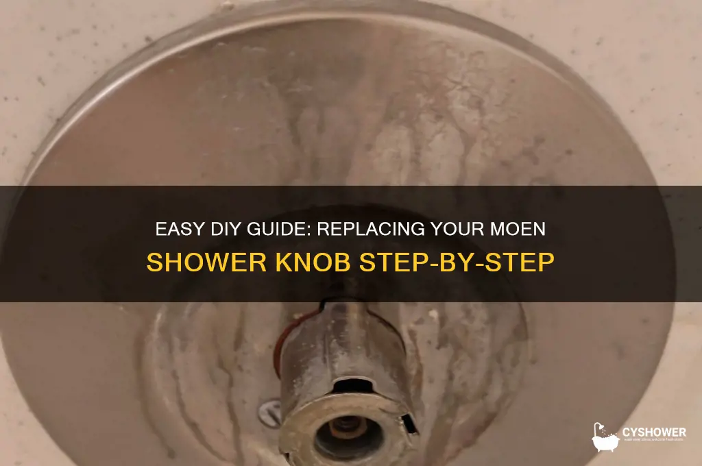 how to replace shower knob moen