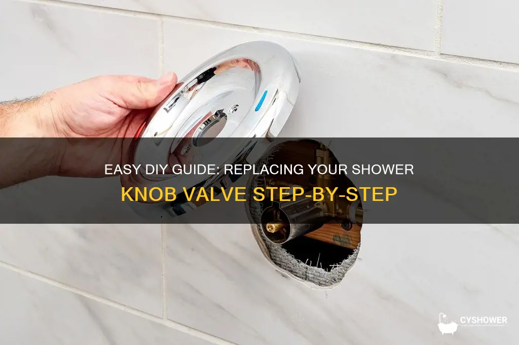 how to replace shower knob valve