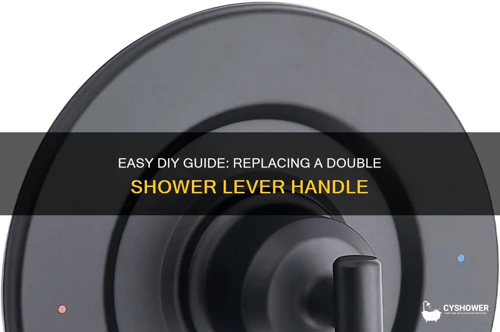 how to replace shower lever handle double