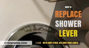 Easy DIY Guide: Replacing Your Shower Lever in Simple Steps