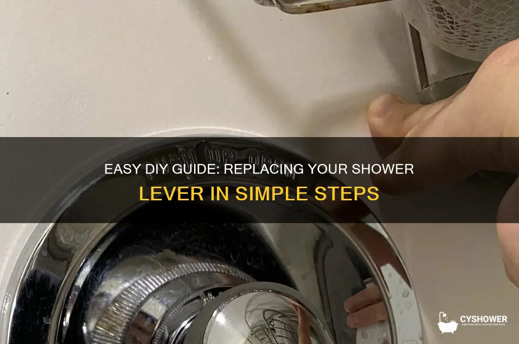 how to replace shower lever