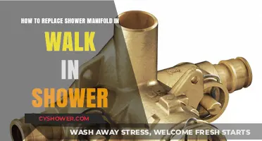 Step-by-Step Guide to Replacing a Shower Manifold in Walk-In Showers
