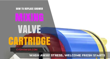 DIY Guide: Replacing Your Shower Mixing Valve Cartridge Easily