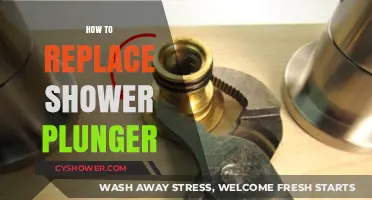 Easy DIY Guide: Replacing Your Shower Plunger Step-by-Step