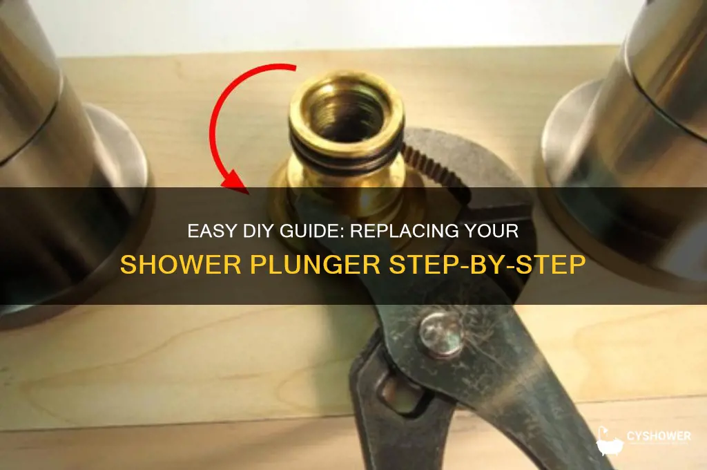 how to replace shower plunger