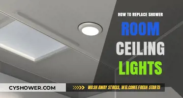Easy Steps to Replace Shower Room Ceiling Lights Safely