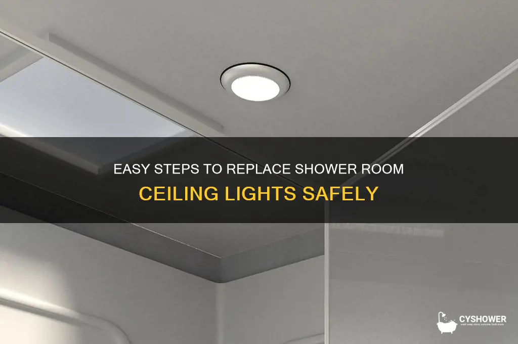 how to replace shower room ceiling lights