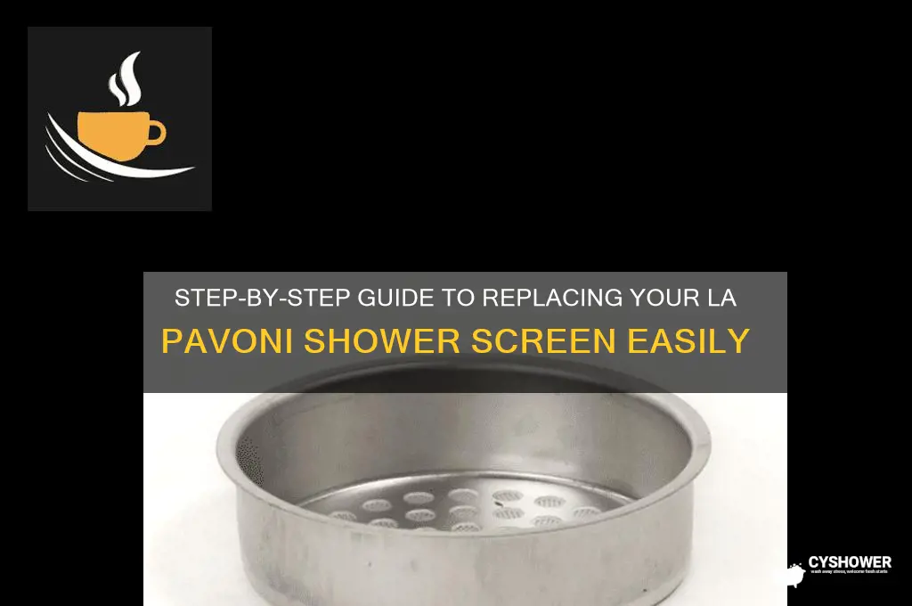how to replace shower screen la pavoni