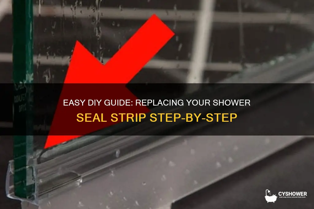 how to replace shower seal strip