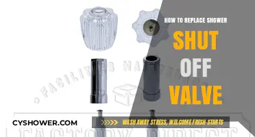 Easy DIY Guide to Replacing Your Shower Shut Off Valve