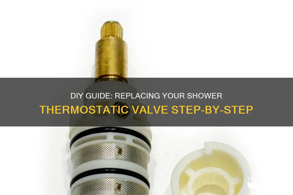 how to replace shower thermostatic valve