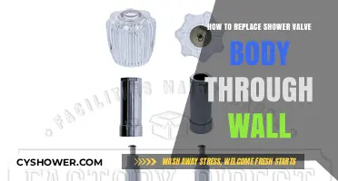 Step-by-Step Guide: Replacing a Shower Valve Body Through the Wall
