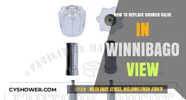 DIY Guide: Replacing Shower Valve in Your Winnebago View