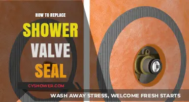 Easy DIY Guide: Replacing Your Shower Valve Seal Step-by-Step