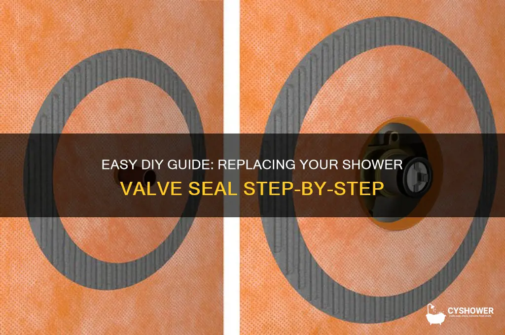 how to replace shower valve seal