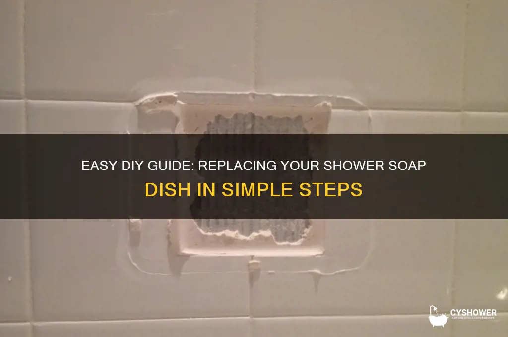 how to replace soap dish in shower
