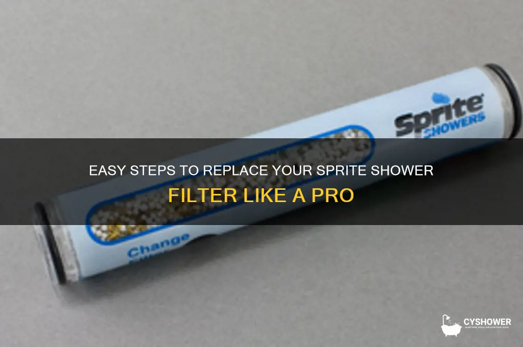 how to replace sprite shower filter