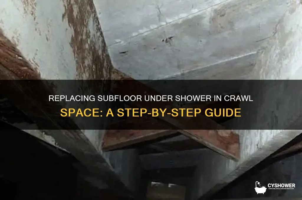 how to replace subfloor under shower in crawl space