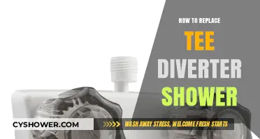 Easy DIY Guide to Replacing a Tee Diverter Shower Valve