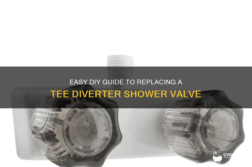 how to replace tee diverter shower