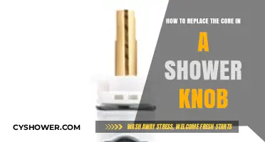 Easy DIY Guide: Replacing the Core in Your Shower Knob