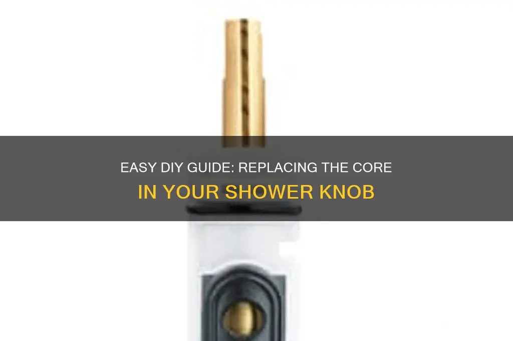 how to replace the core in a shower knob