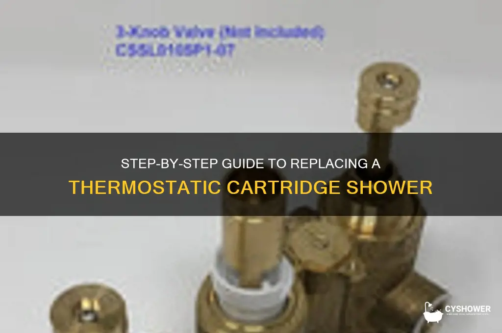 how to replace thermostatic cartridge shower