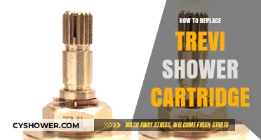Easy DIY Guide: Replacing Your Trevi Shower Cartridge Step-by-Step