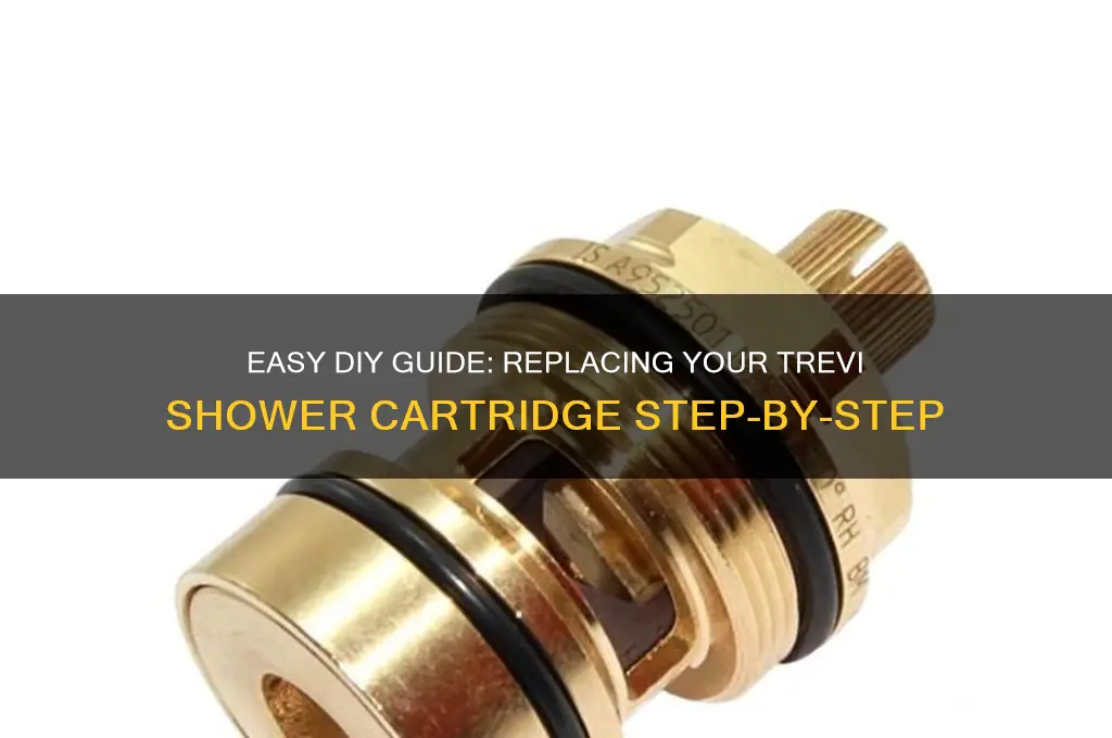 how to replace trevi shower cartridge