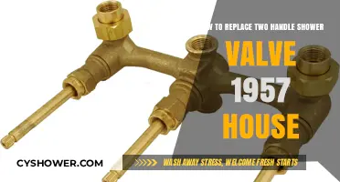 Replacing a Two-Handle Shower Valve in a 1957 Home: DIY Guide